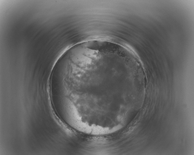 X0000064740907200602241752