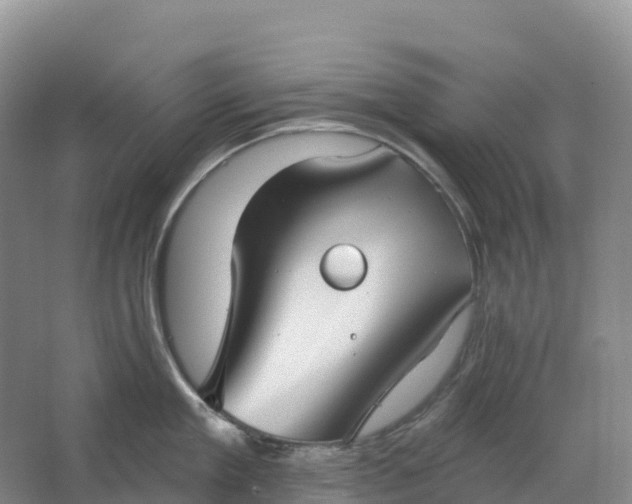 X0000064740909200602241752