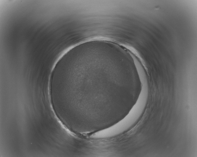 X0000064740910200602241752