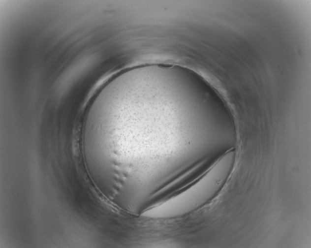 X0000064740912200602241752