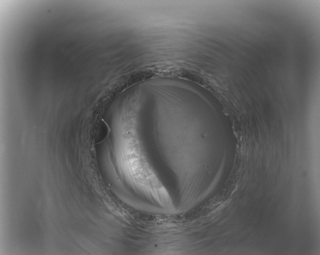 X0000064740913200602241751