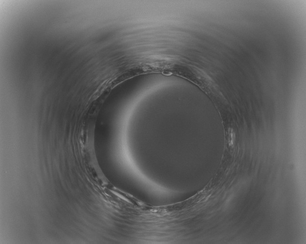 X0000064740915200602241751