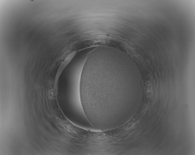 X0000064740916200602241751