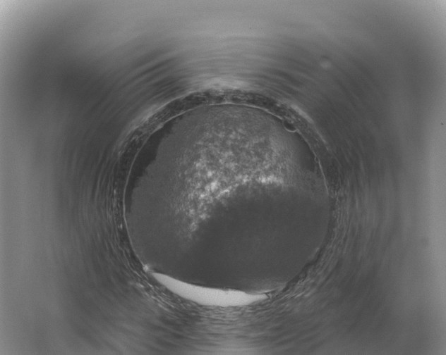 X0000064740919200602241751