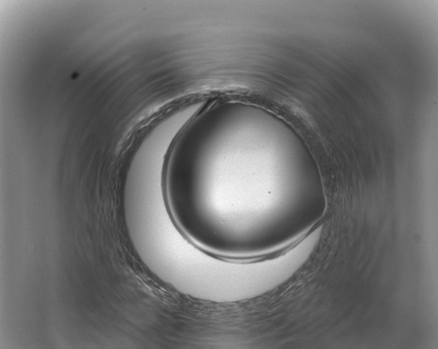 X0000064740920200602241751