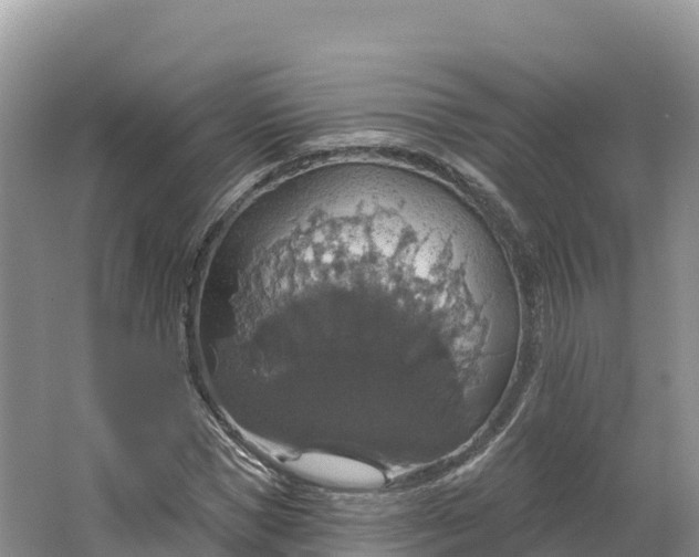 X0000064740921200602241751