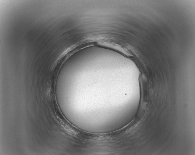 X0000064740922200602241751