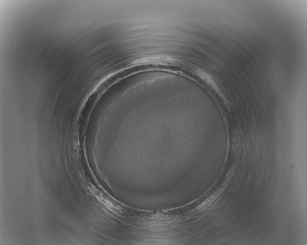 X0000064740923200602241751