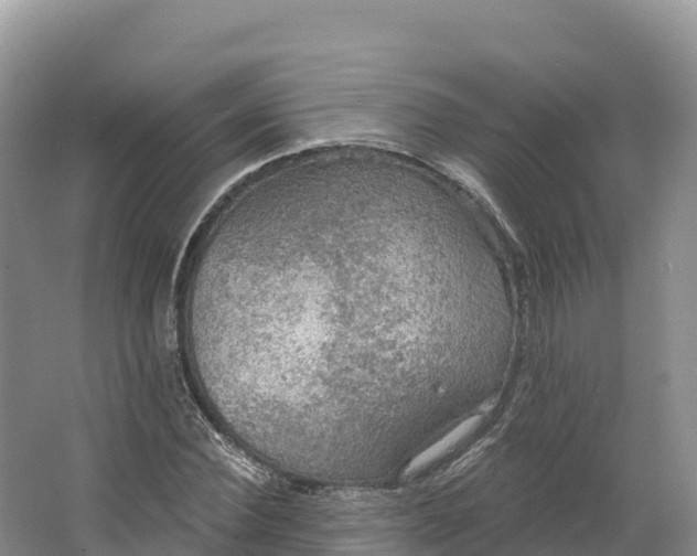 X0000064740924200602241751