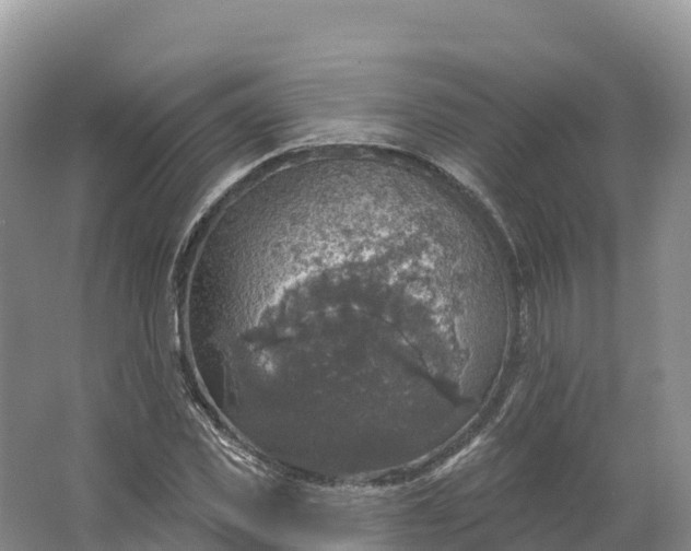 X0000064740925200602241751