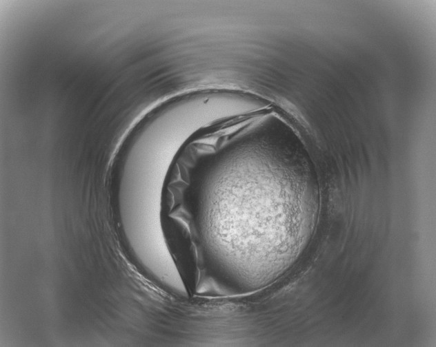 X0000064740926200602241751