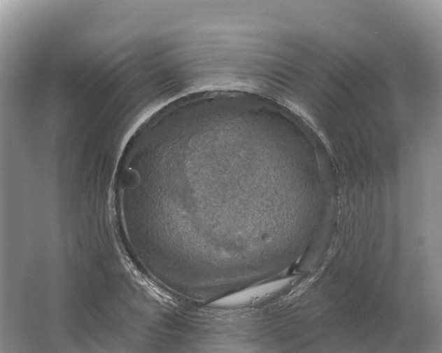 X0000064740928200602241751