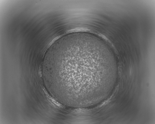 X0000064740929200602241751