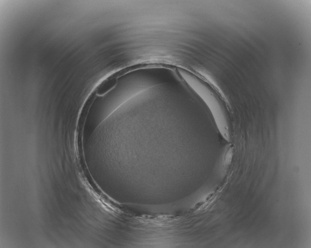 X0000064740932200602241751