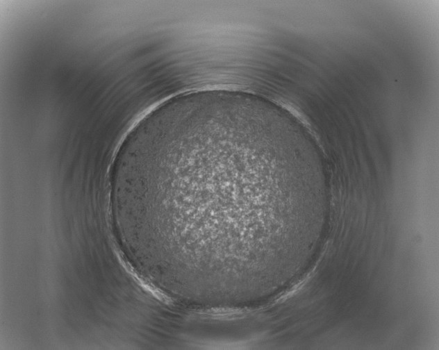 X0000064740933200602241751