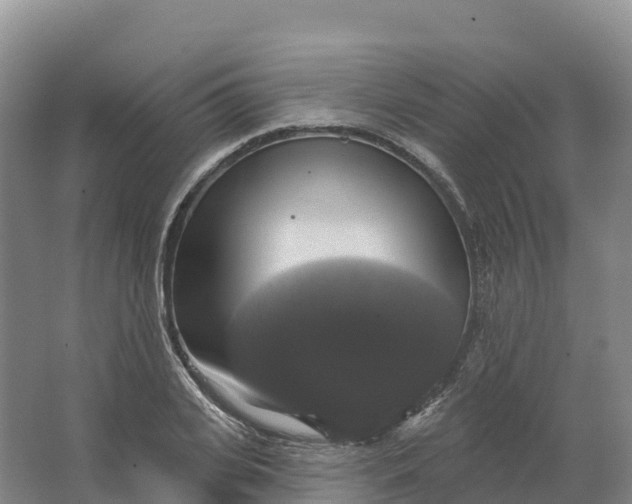 X0000064740935200602241751