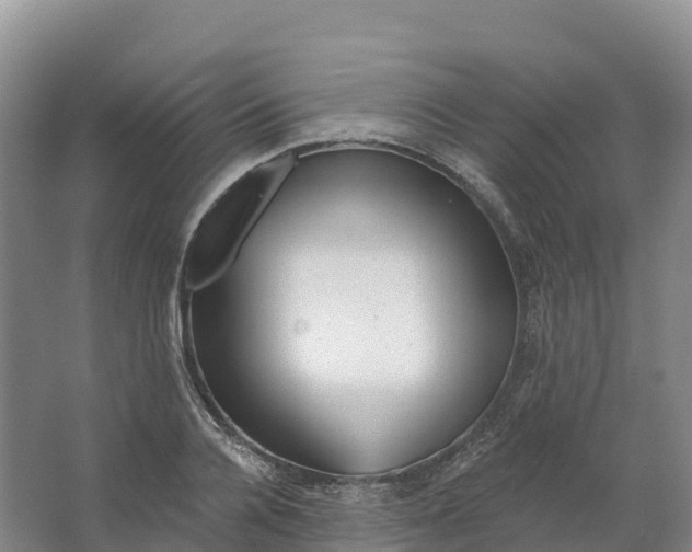 X0000064740936200602241751