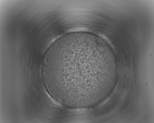 X0000064740937200602241751