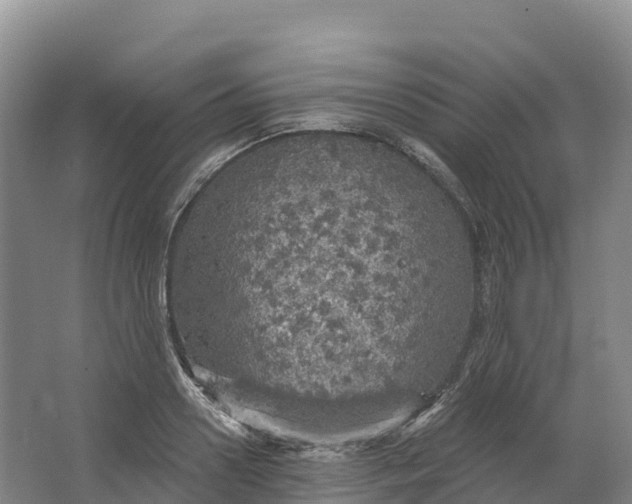 X0000064740938200602241751