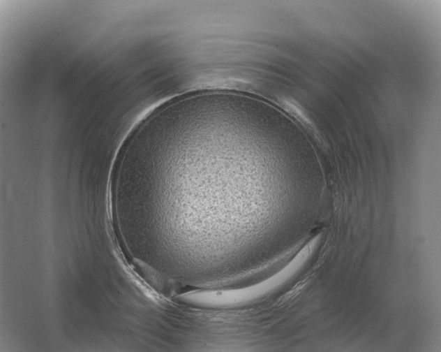 X0000064740940200602241752