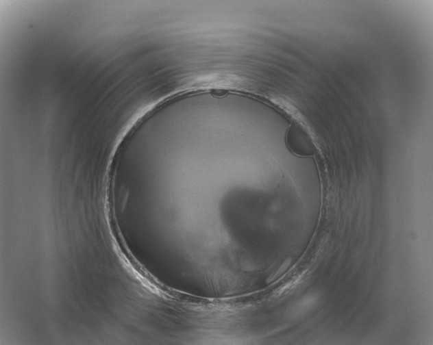 X0000064740941200602241752