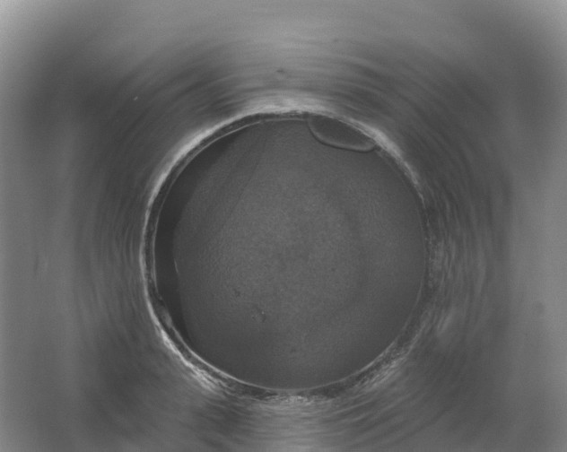 X0000064740943200602241752