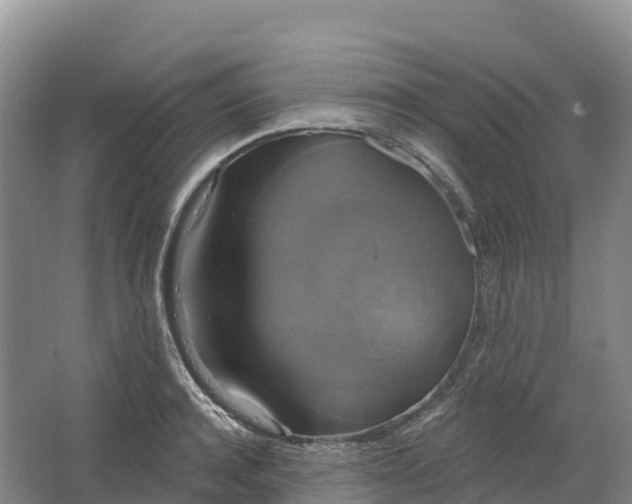 X0000064740944200602241752