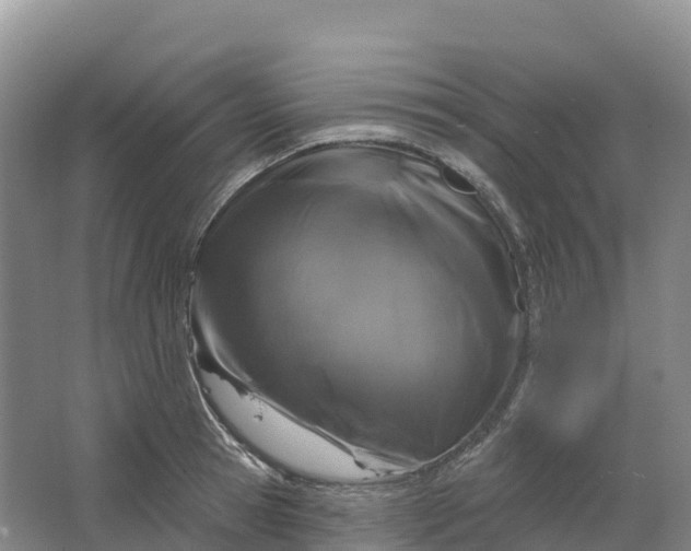 X0000064740945200602241752