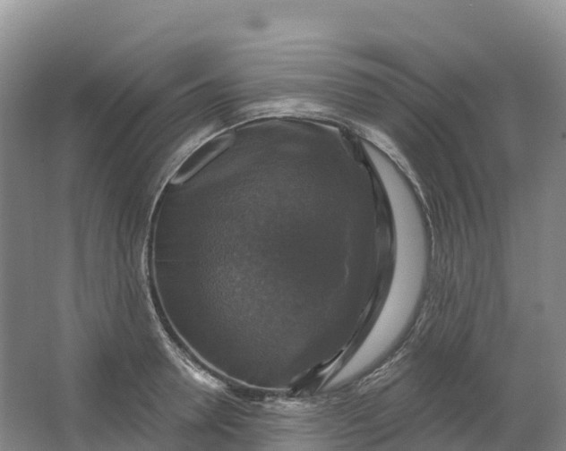 X0000064740946200602241752