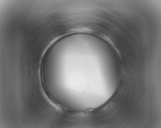 X0000064740947200602241752