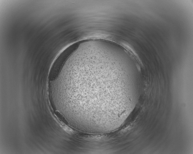 X0000064740948200602241752