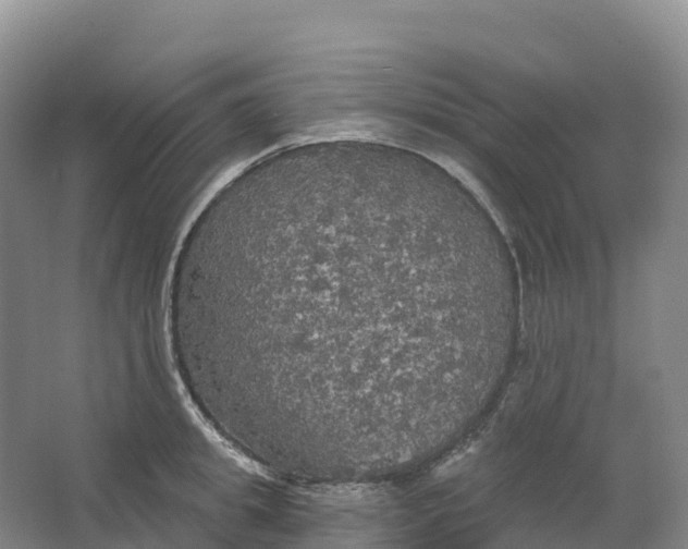 X0000064740949200602241752