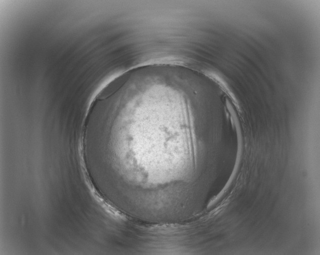 X0000064740952200602241752