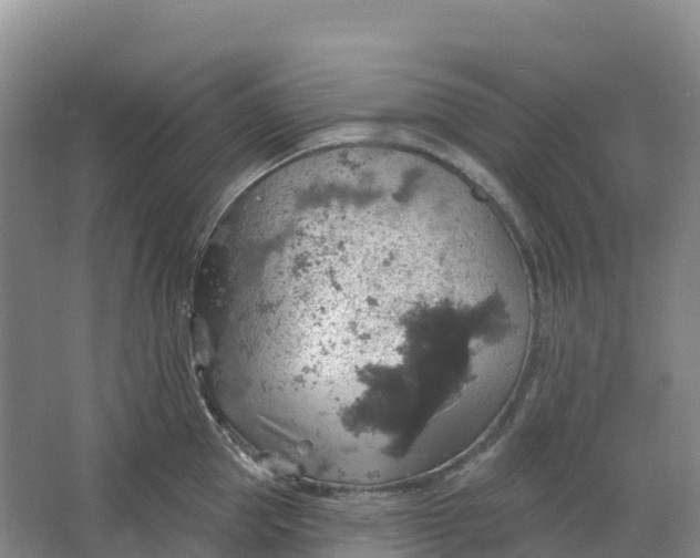 X0000064740953200602241752