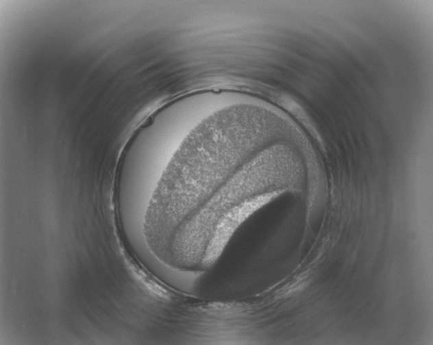 X0000064740954200602241752