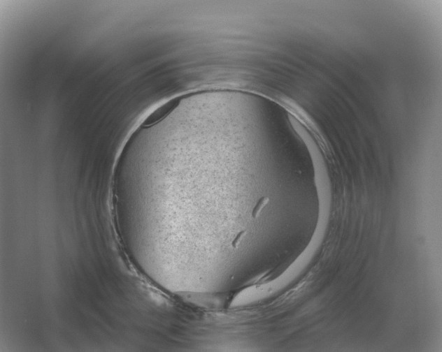 X0000064740956200602241752