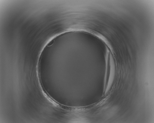 X0000064740958200602241752