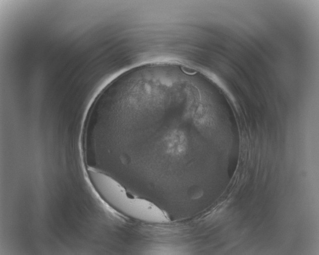 X0000064740959200602241752