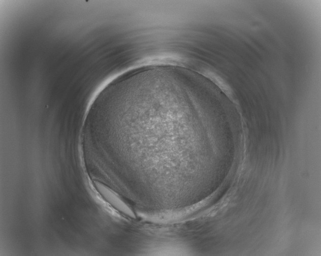 X0000064740960200602241752