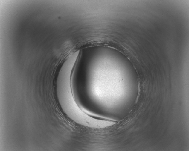 X0000064740961200602241751