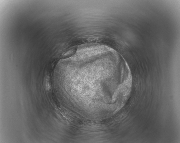 X0000064740962200602241751