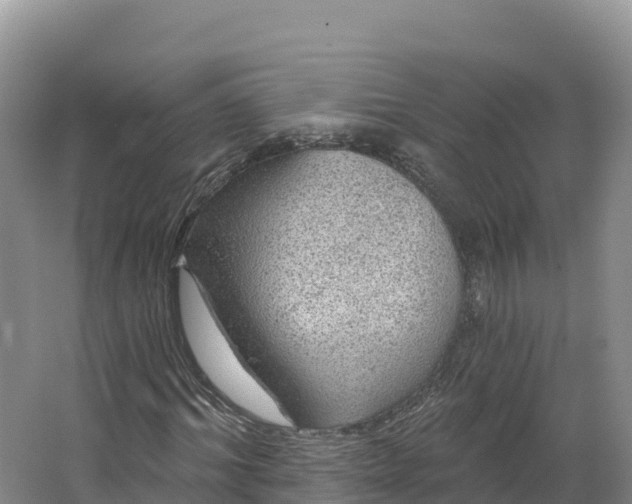 X0000064740964200602241751