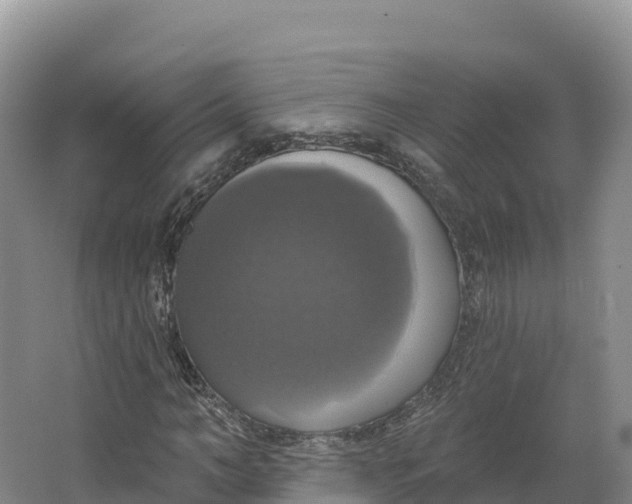 X0000064740966200602241751