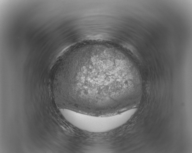 X0000064740968200602241751