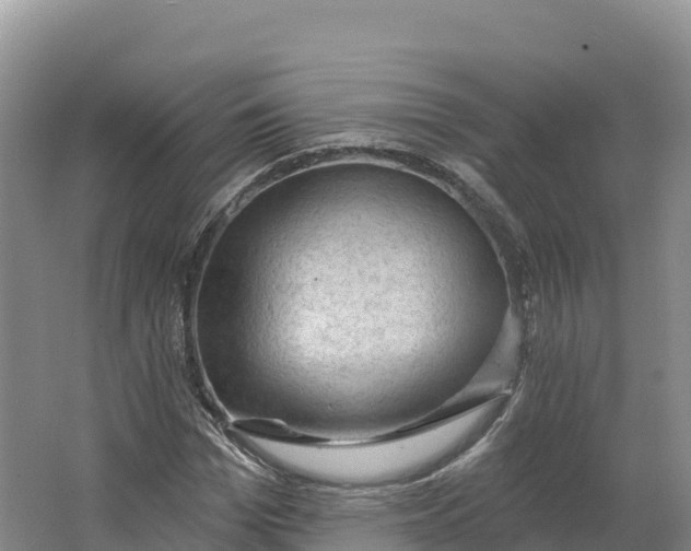 X0000064740969200602241751