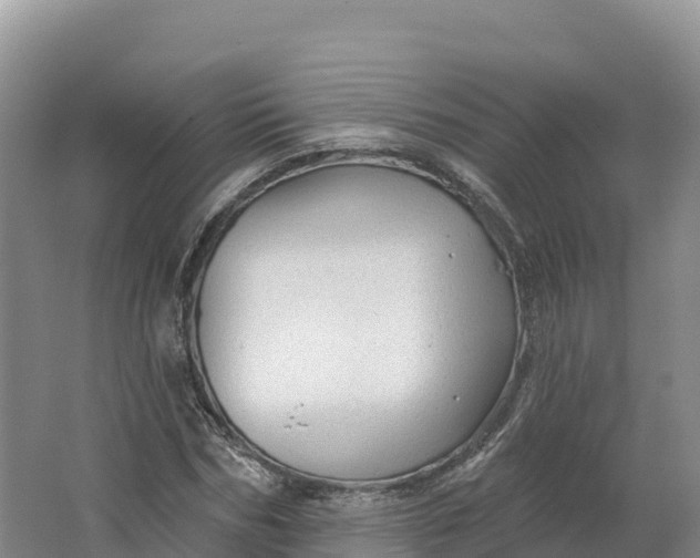 X0000064740970200602241751