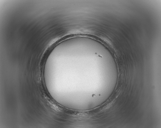 X0000064740974200602241750