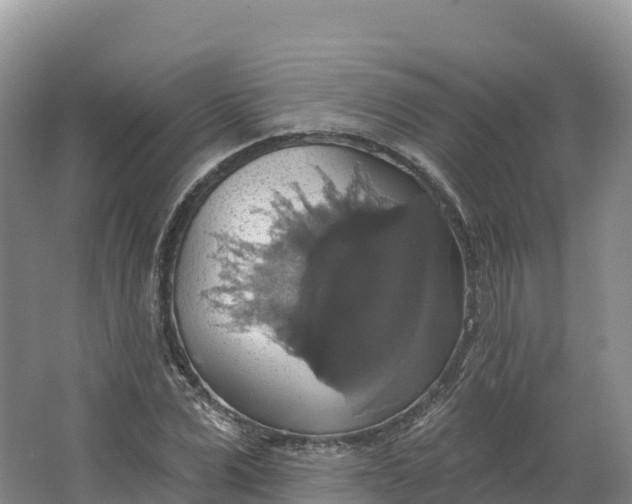 X0000064740975200602241750