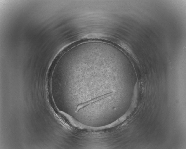 X0000064740976200602241750