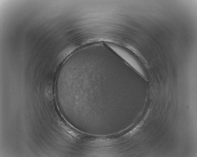 X0000064740977200602241750